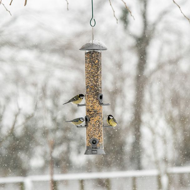 6 Port Bird Seed Feeder Adventurer