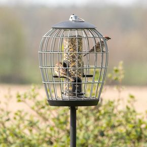 Frøautomat med beskyttelsebur Aura