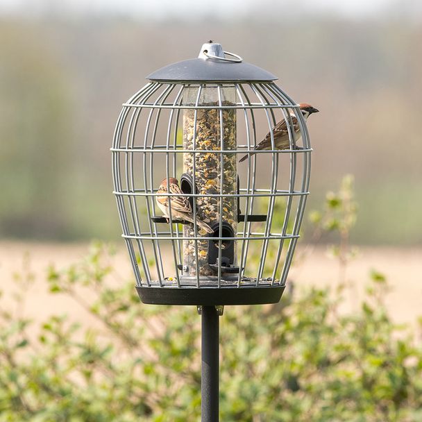 Silo et cage de protection pour petits oiseaux Aura - Gris
