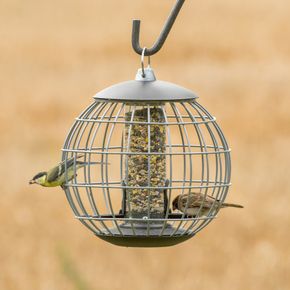 National Trust Athena Guardian Caged Bird Seed Feeder