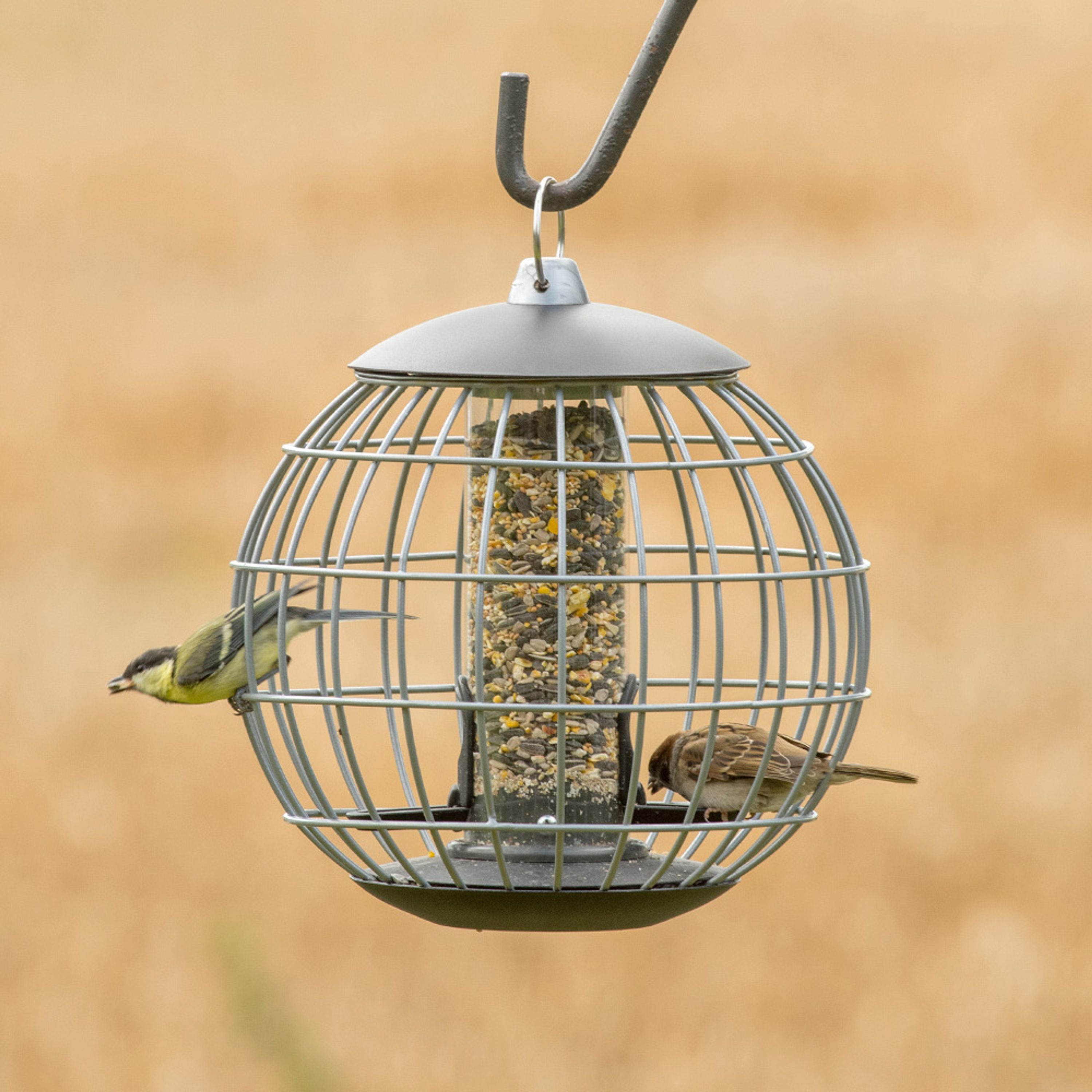 National Trust Athena Guardian Caged Bird Seed Feeder