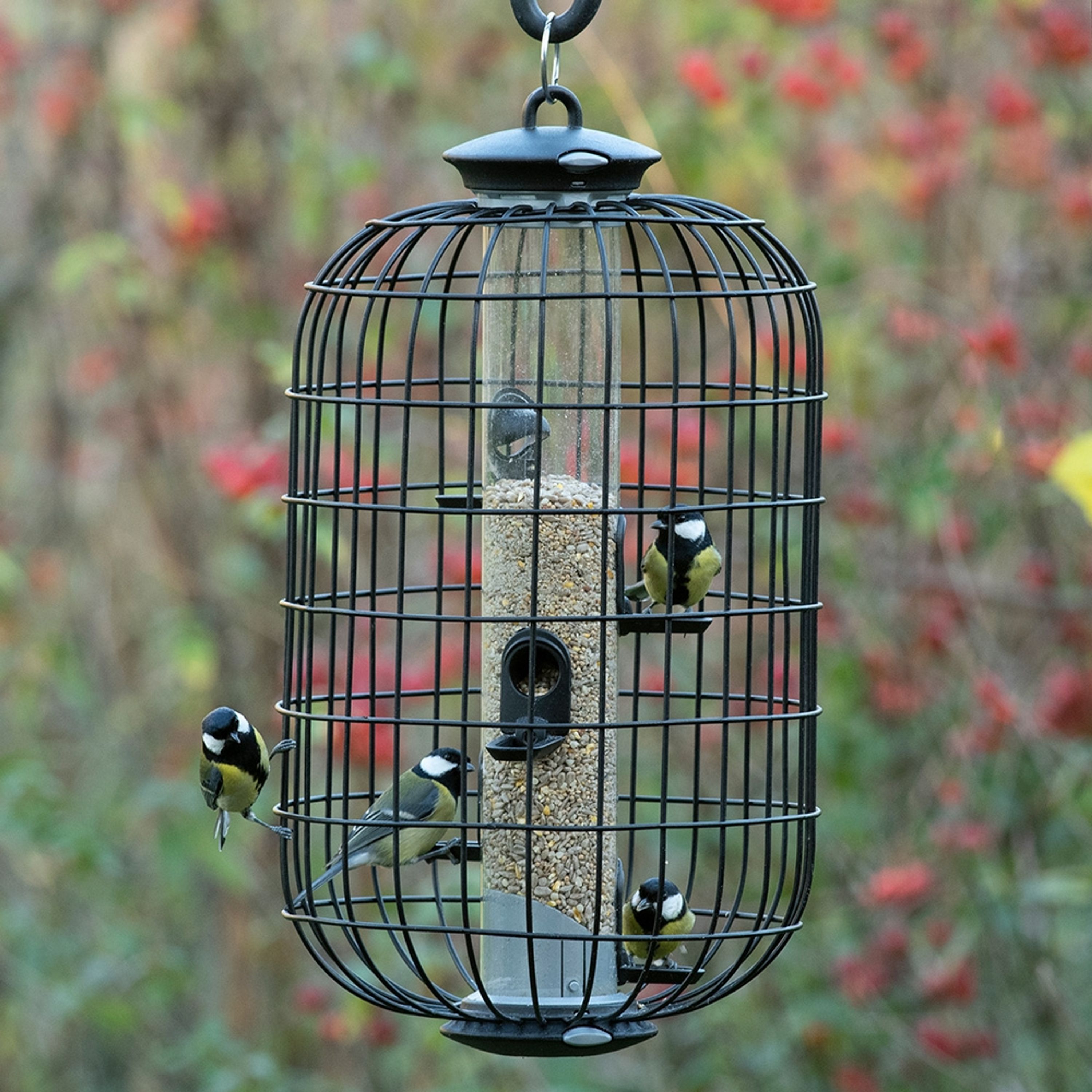 Schutzkäfig für „Apollo“ mit 5 Öffnungen | CJ Wildlife