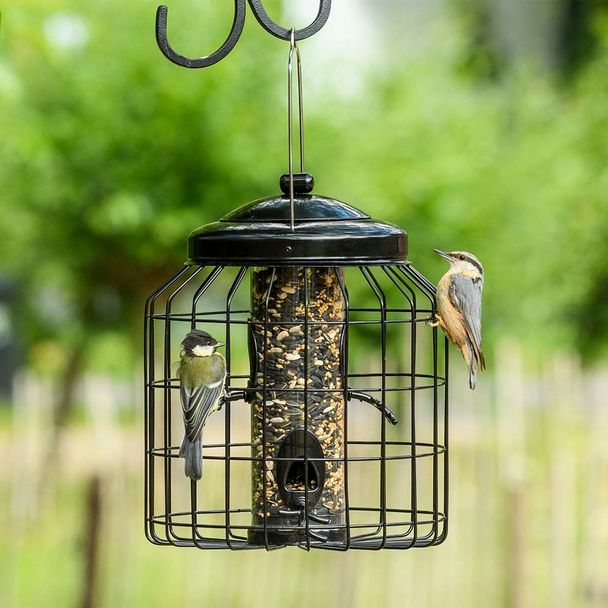 Brussels Guardian Caged Bird Seed Feeder