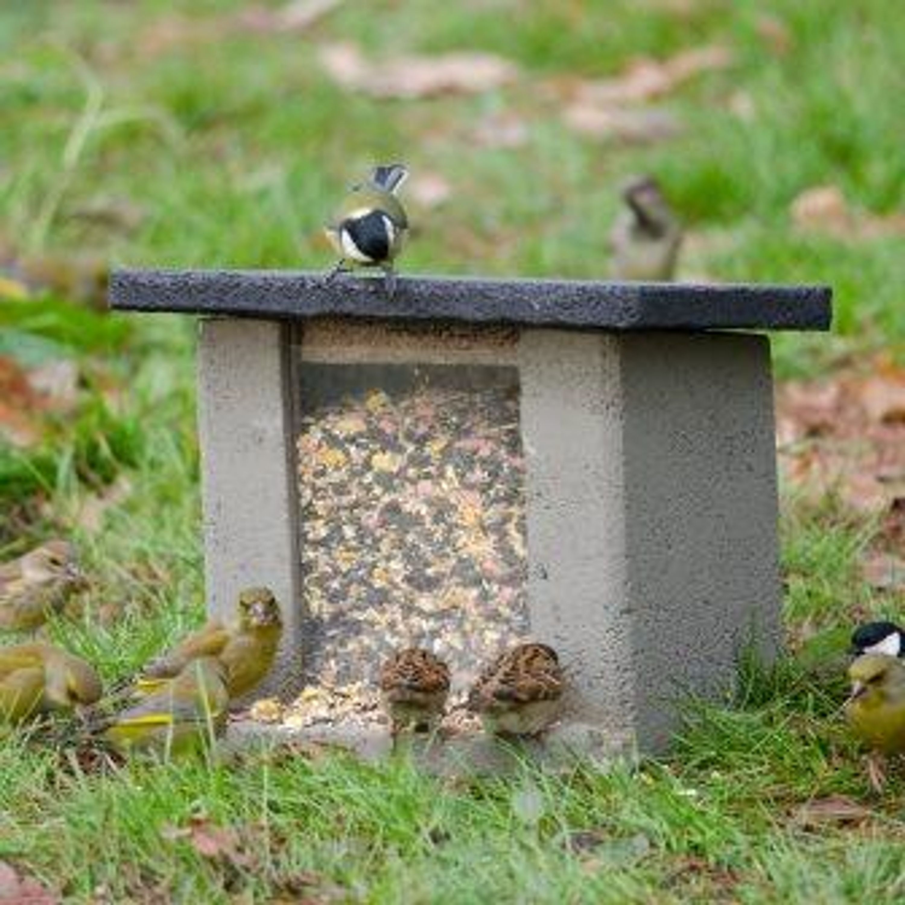 Bodenfutterstation WoodStone | CJ Wildlife