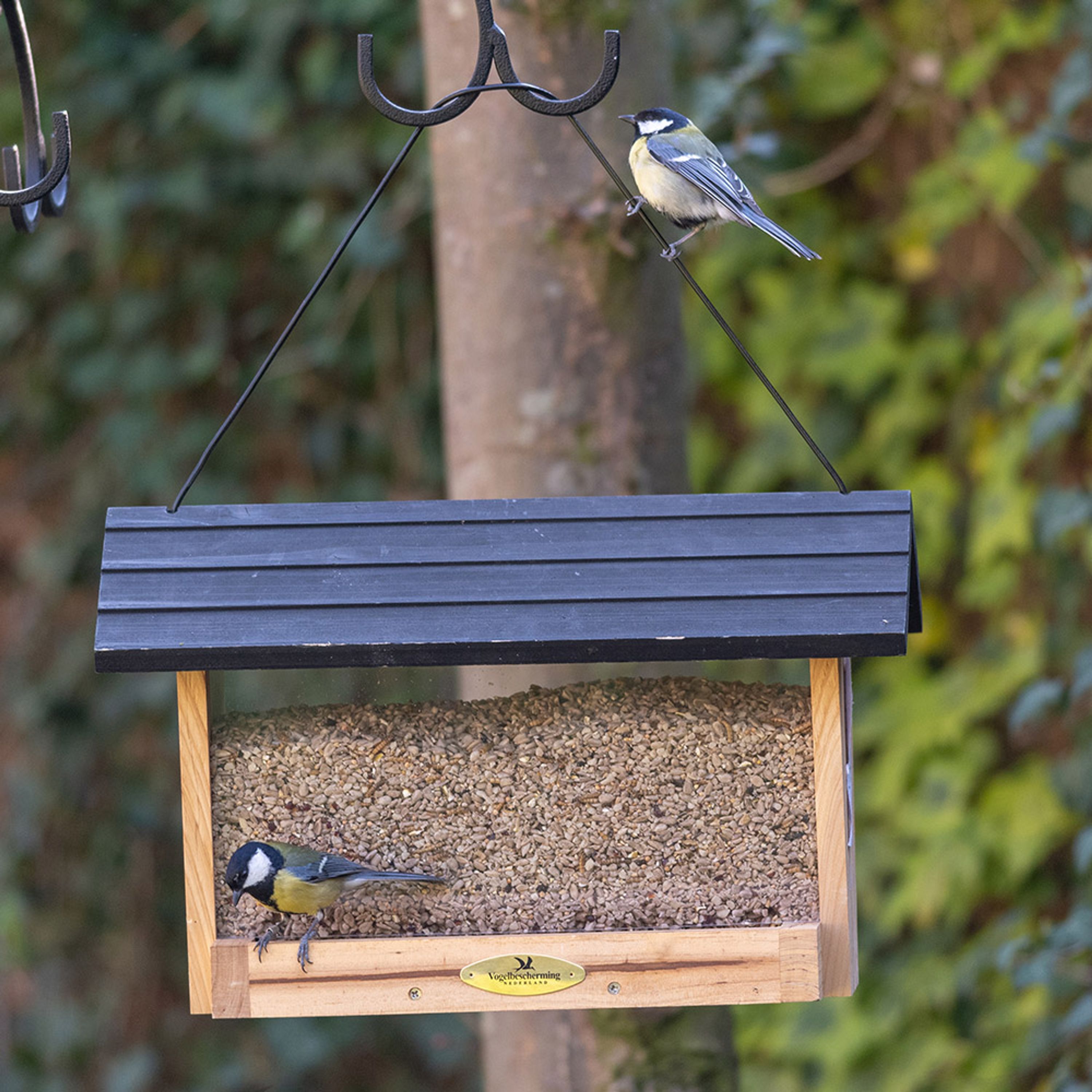 Voederhuis Randers | Vogelbescherming Nederland |  | Partner van Vogelbescherming Nederland