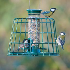 Guardian Caged 2 Port Bird Seed Feeder Defender