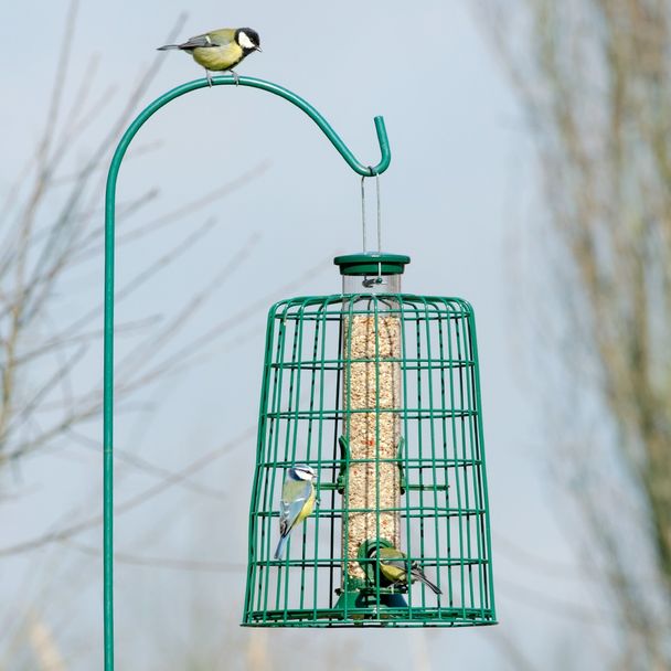 Guardian Caged 4 Port Bird Seed Feeder Defender