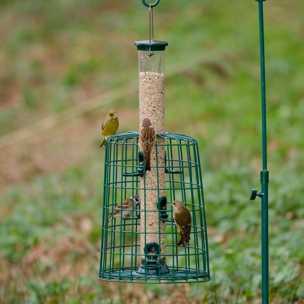 Guardian Caged 6 Port Bird Seed Feeder Defender