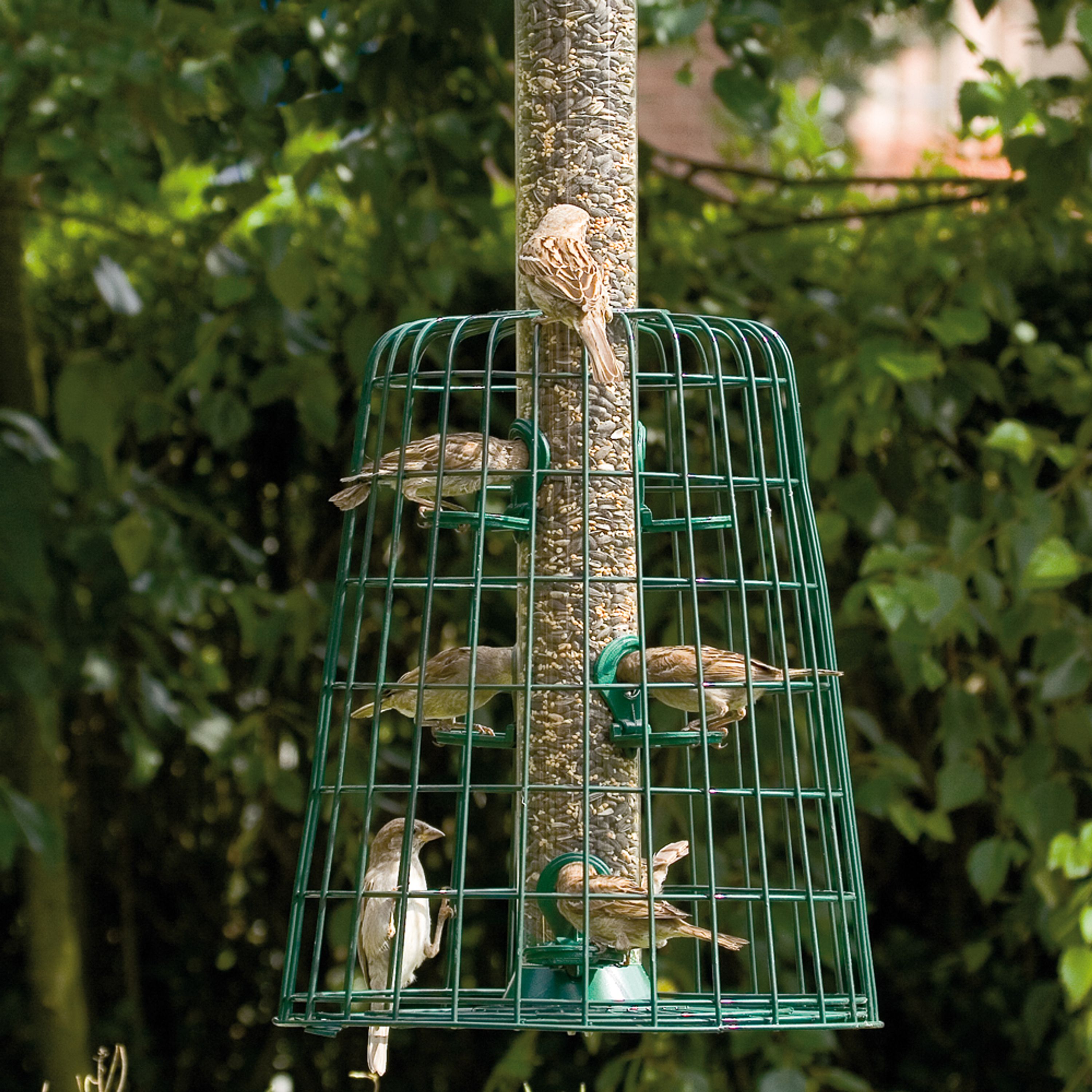 Schutzpaket für Futtersäule 56 cm | Vivara