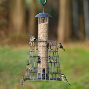 Guardian Caged 6 Port Bird Seed Feeder Adventurer