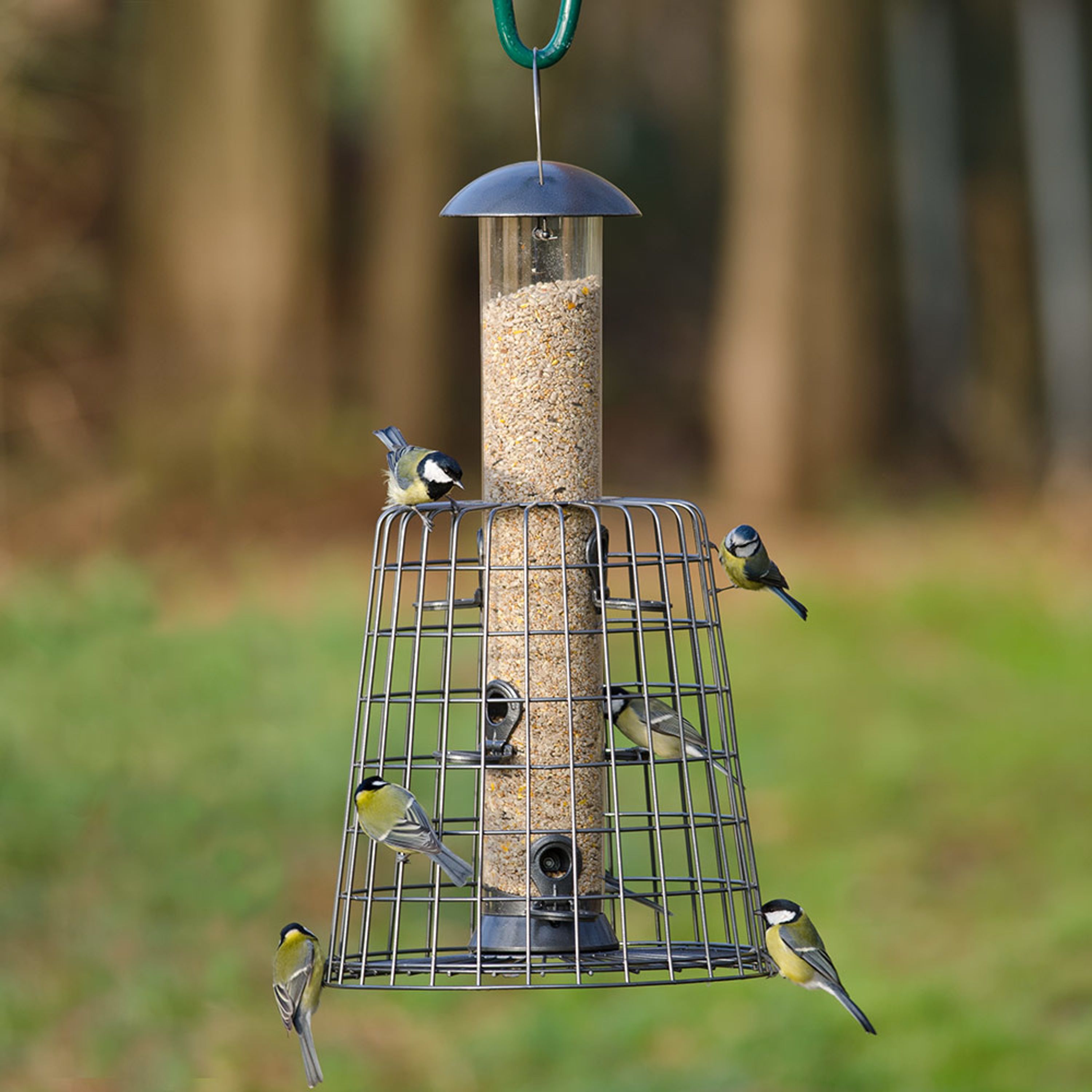 Beschermpakket Adventurer 55 Cm | Bevat een Adventurer Voedersilo en Silobeschermer Adventurer | Viv