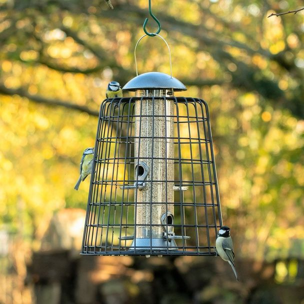 Guardian Caged 4 Port Bird Seed Feeder Adventurer