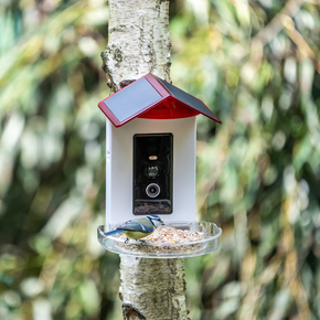 Voedersysteem voor tuinvogels met smart AI camera