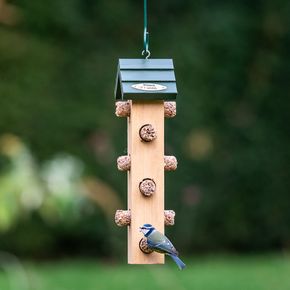 Aurora Suet Logs Bird Feeder