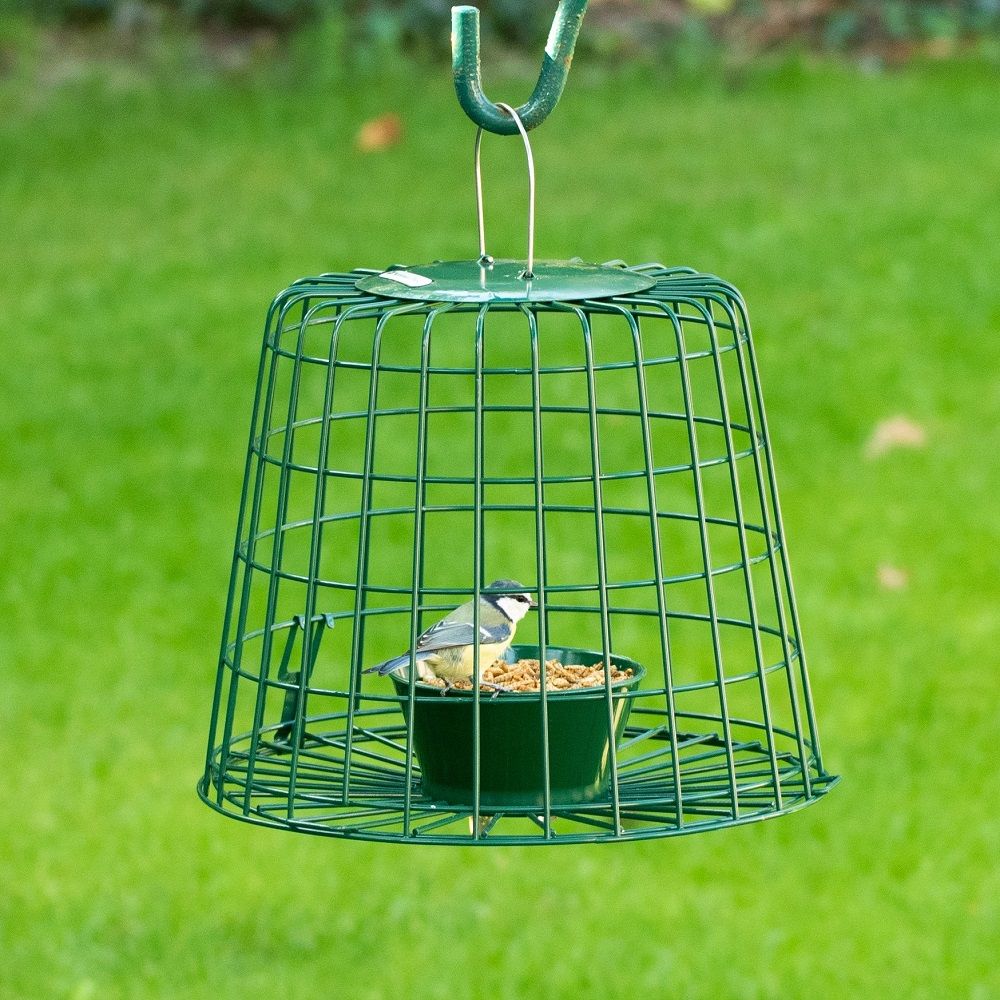 Vogelvoerbak en Badhuis | Anti-Mors, Extern en Transparant