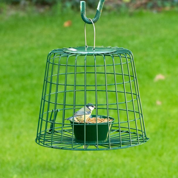 Cage de protection pour friandises et vers de farine
