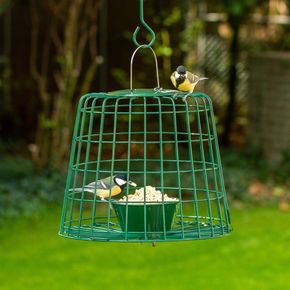 Guardian Caged Mealworm & Suet Pellet Feeder