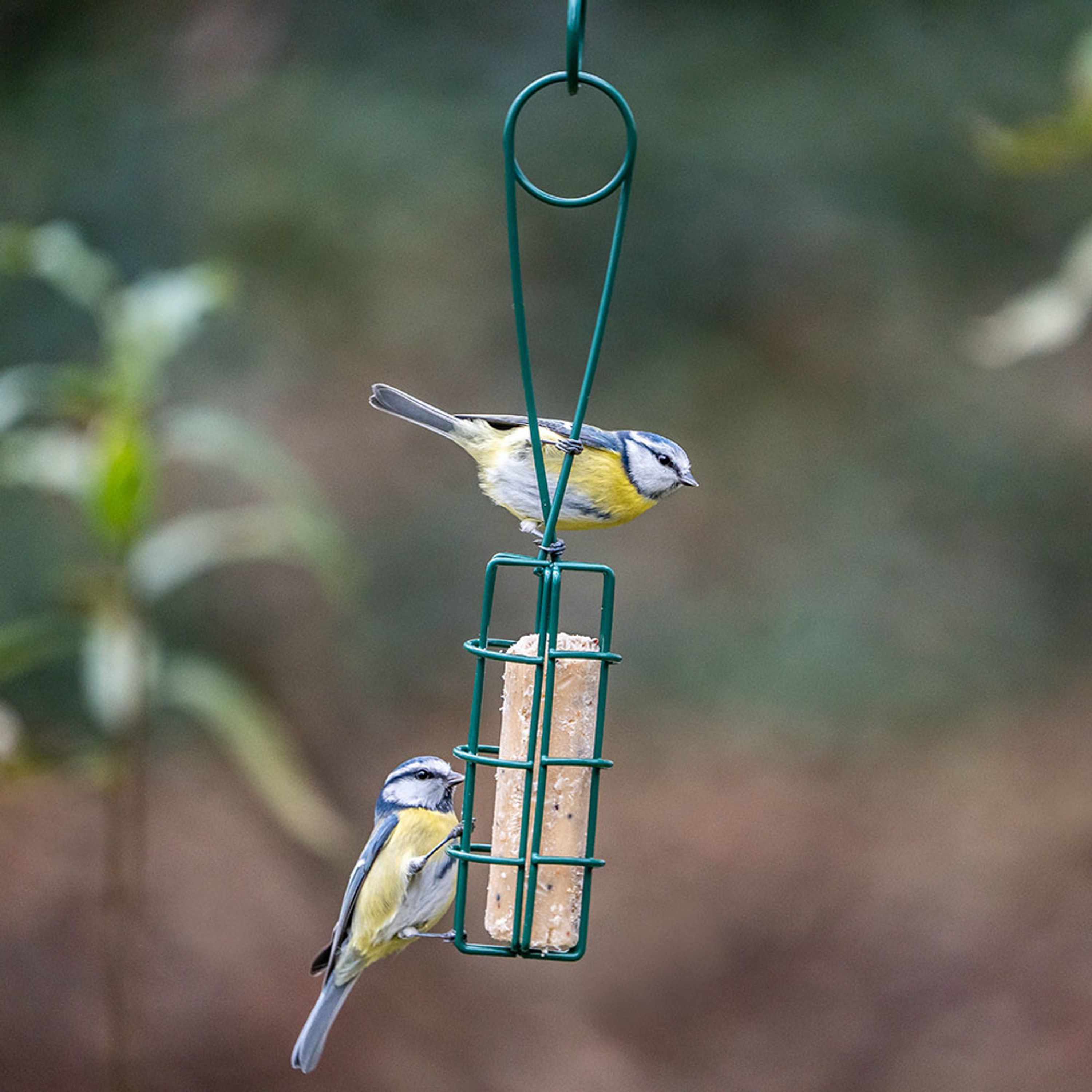 2-in-1 Energierollen-Halter und -Greifer „Peru“ | CJ Wildlife – CJ Wildlife