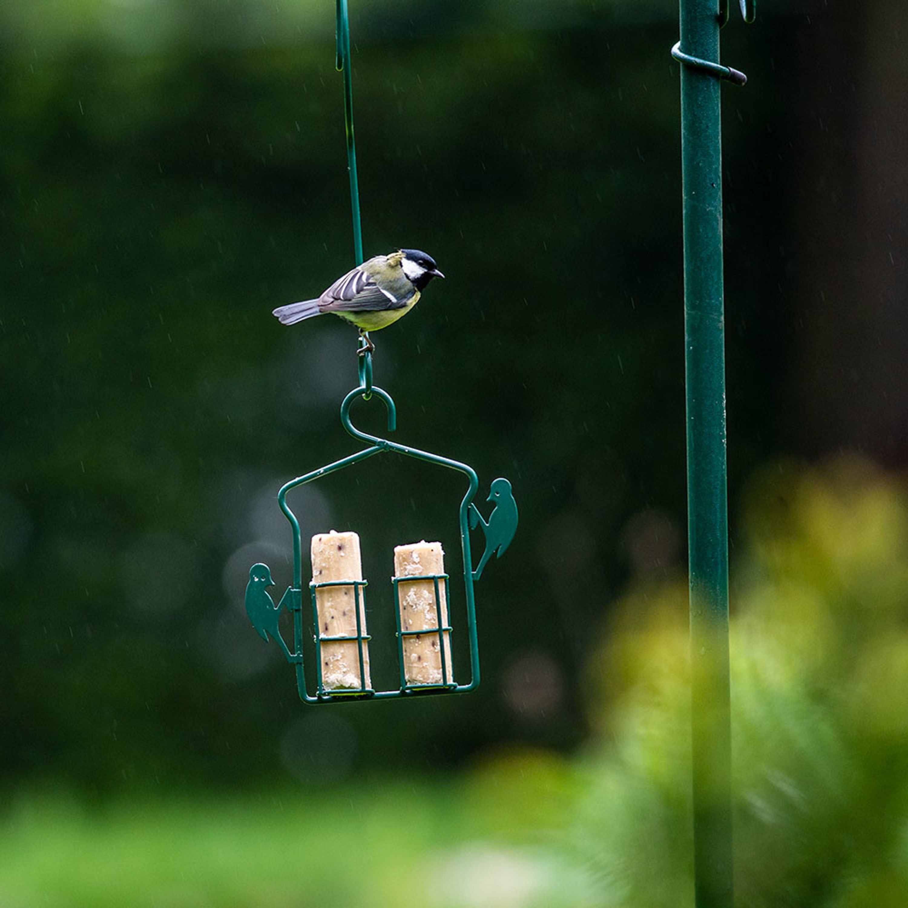 Startpakket Energierolhanger Met 6 Energierollen | Vogelvoer | Vivara