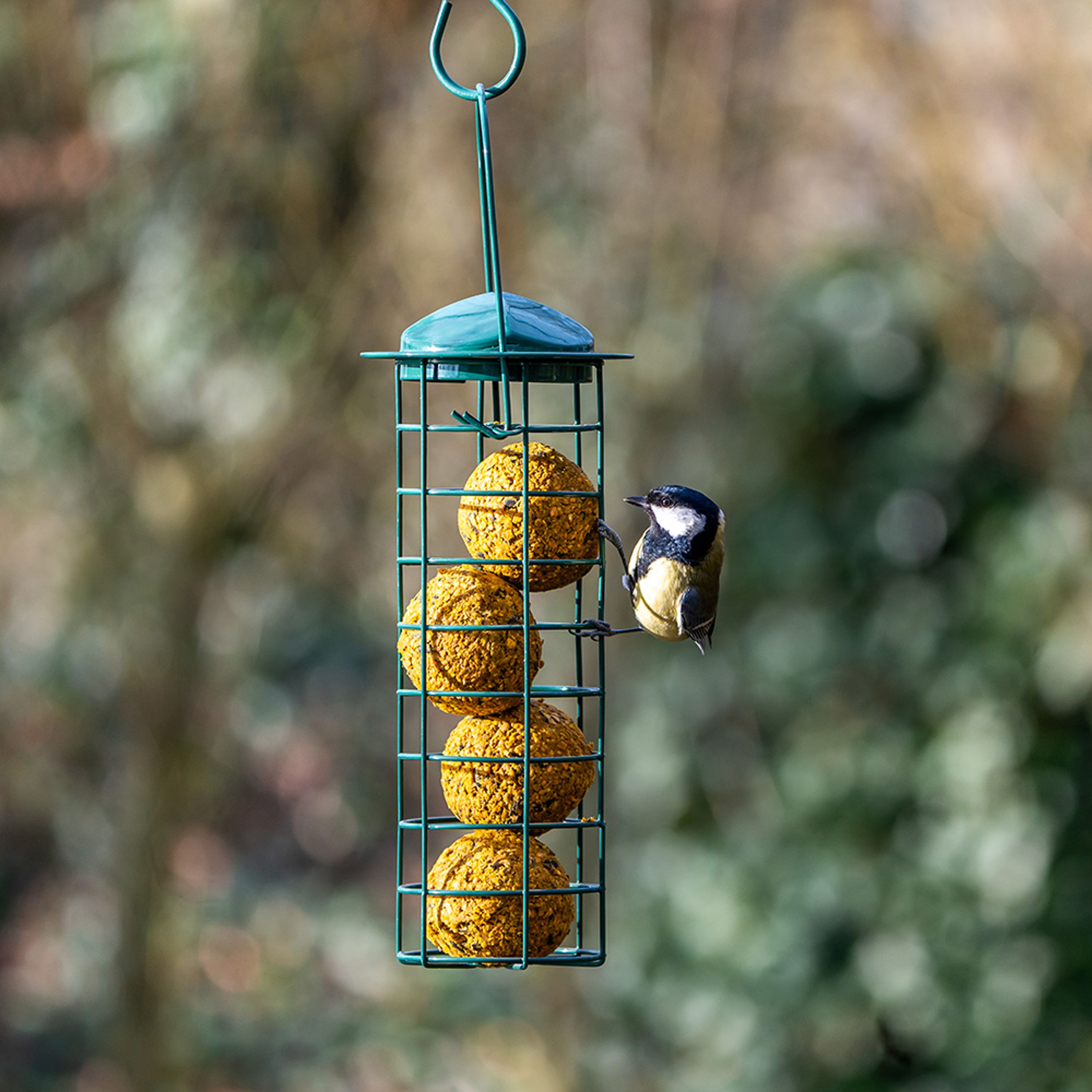 Bio-Meisenknödel - 6 Stück | Vogelfutter | CJ Wildlife