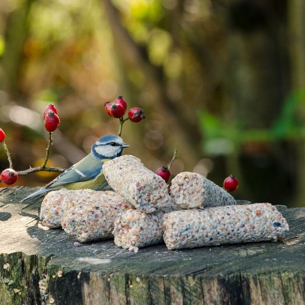 Suet Logs Taster Bundle of 18 (Seeds, Peanuts & Fruit)