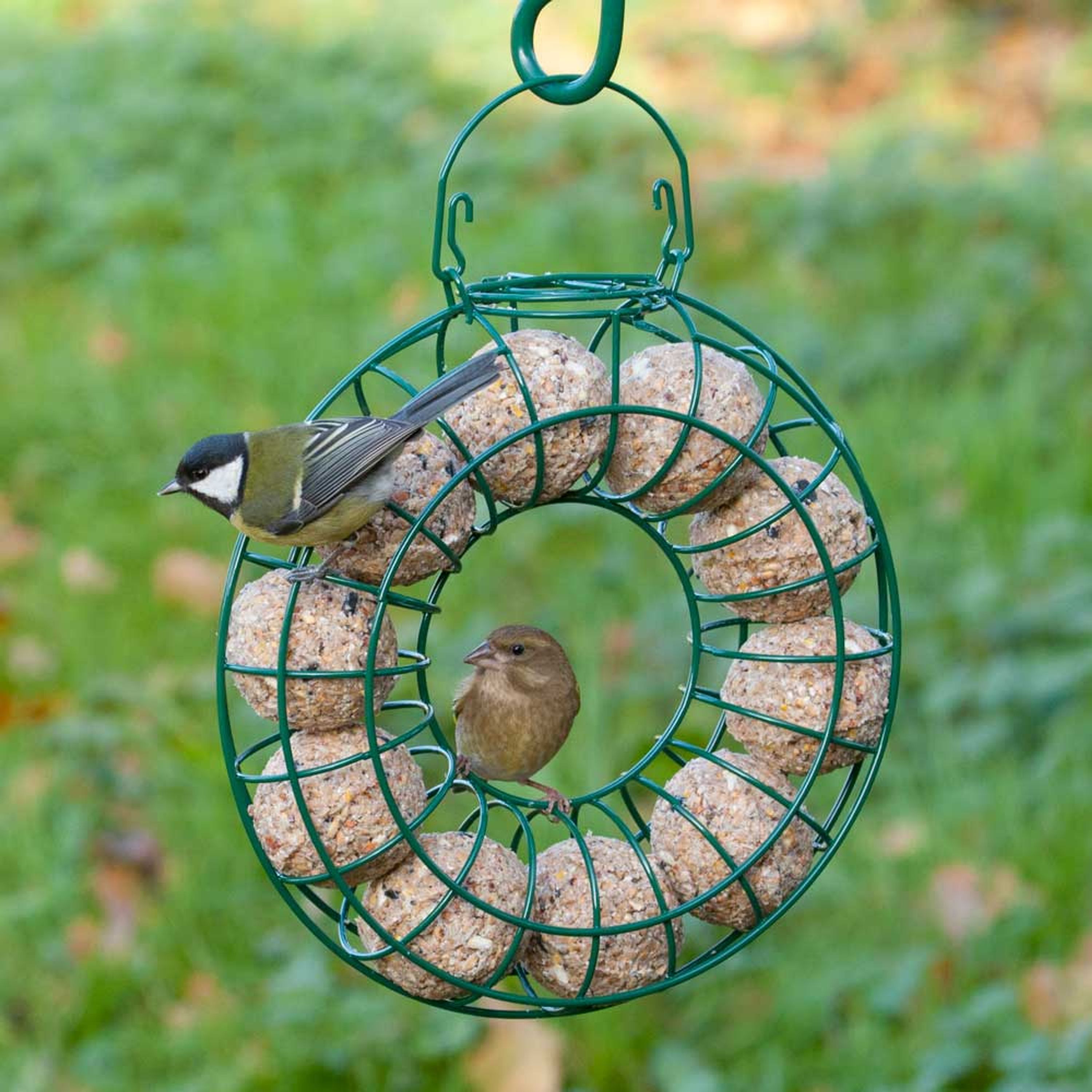 Meisenknödel mit Mehlwürmern 6 Stück | Vogelfutter | CJ Wildlife