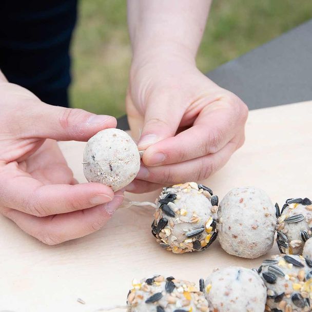 Vogelpindakaas boetseerklei 1kg