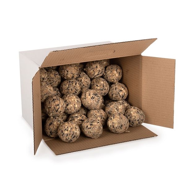 Ultimate Fat Balls - Box of 50