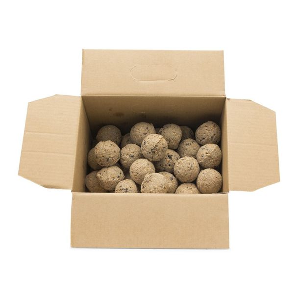 Gifts4Nature 50 Fat Balls