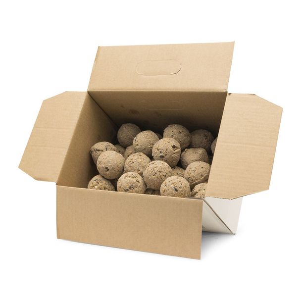 Gifts4Nature 50 Fat Balls