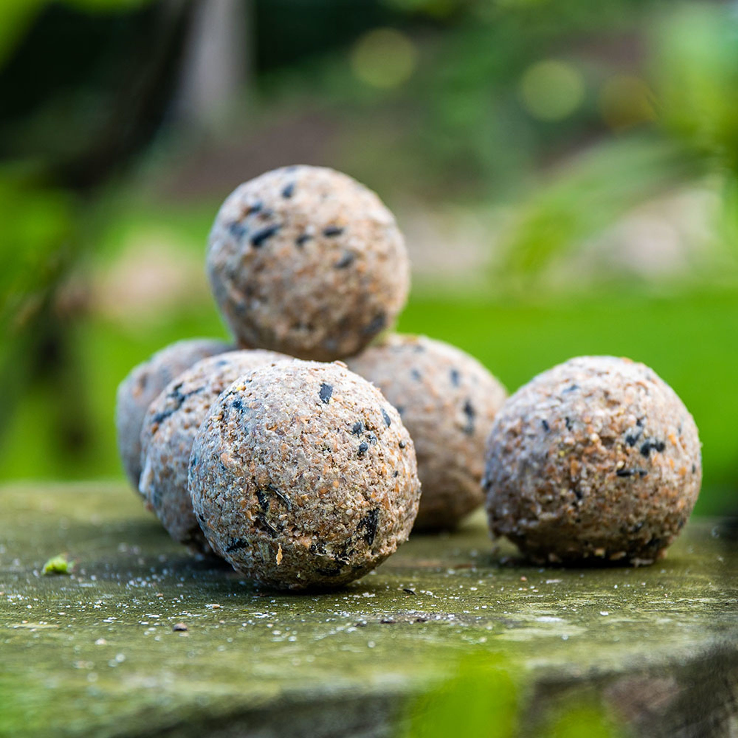 Vivara Kids Meisenknödel 6 Stk. | Vogelfutter