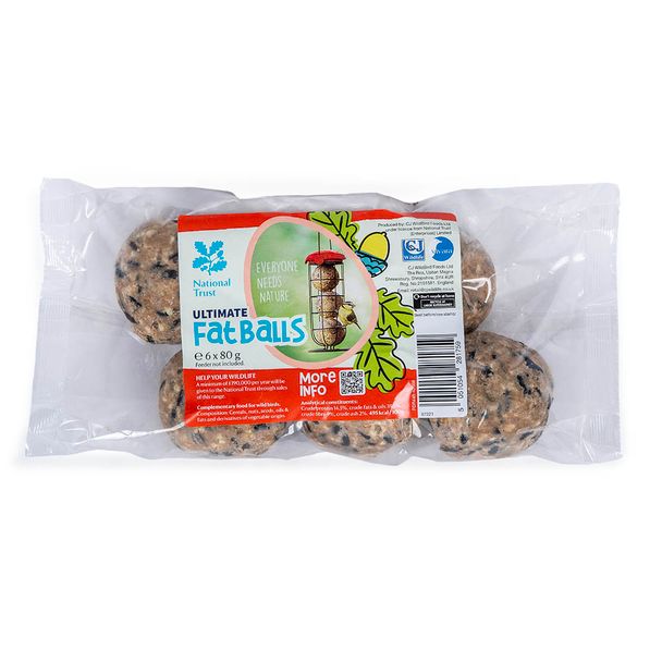 National Trust Kids Ultimate Fat Balls