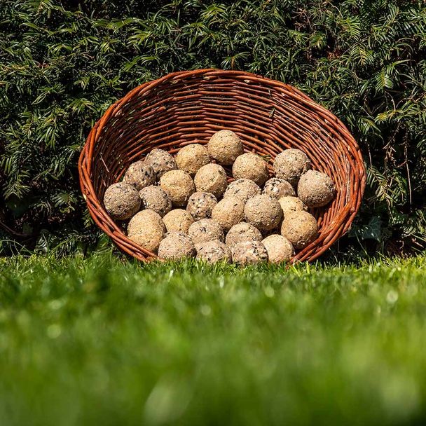 Pack varié avec 30 boules de graisse (5 types différents)