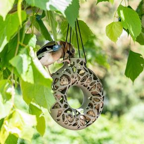 Ultimate Fat Balls & Feeder Starter Bundle