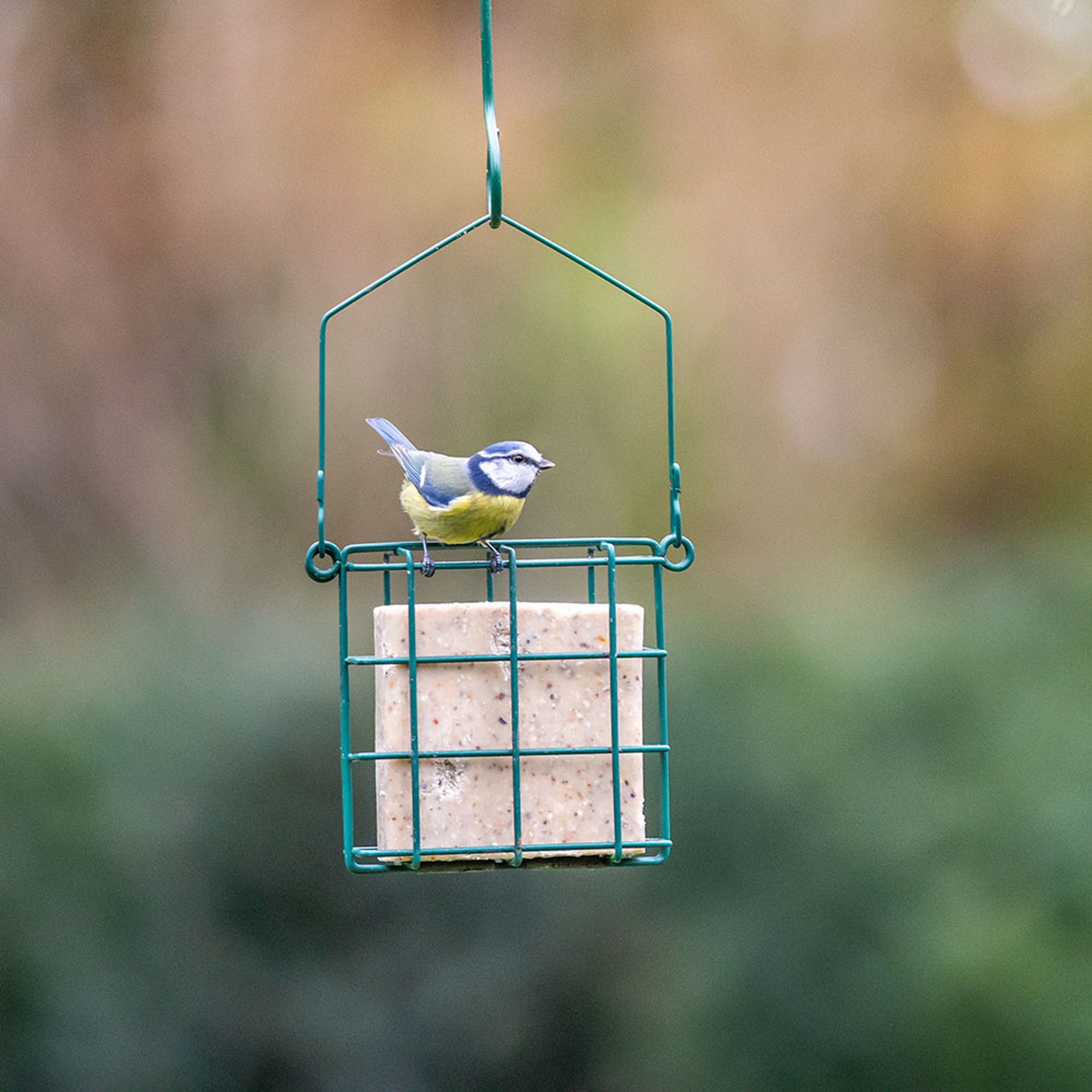 Energieblock mit Samenmischung | Vogelfutter | CJ Wildlife