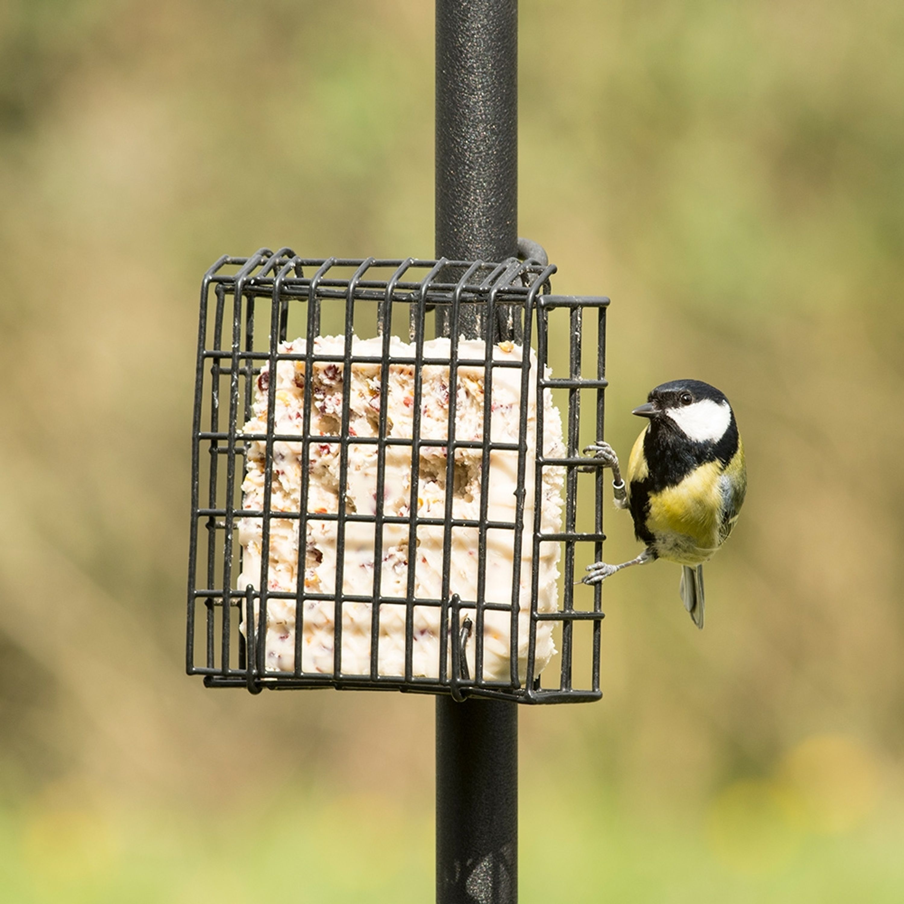 Energieblock Deluxe | Vogelfutter | CJ Wildlife