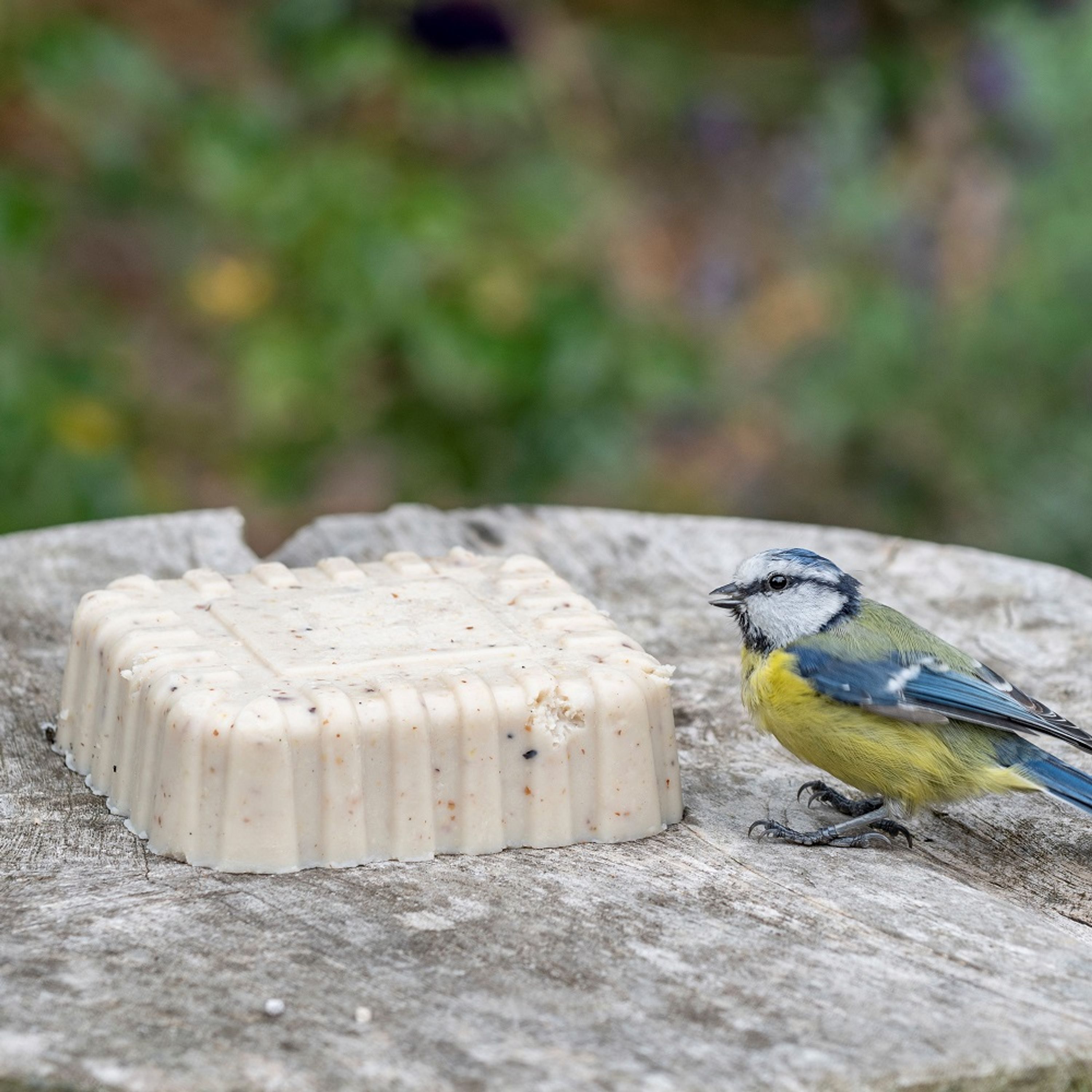 Energieblock Original | Vogelfutter | CJ Wildlife