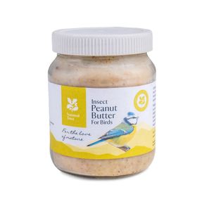 National Trust Insect Peanut Butter for Birds
