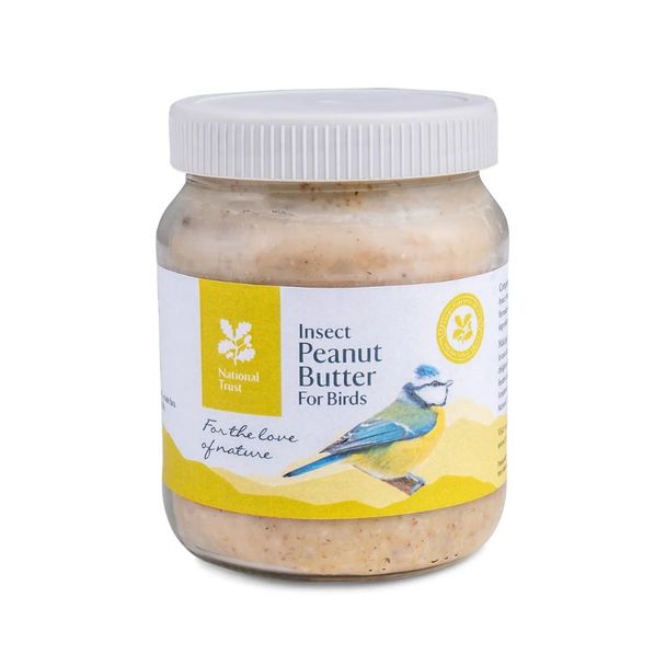 National Trust Insect Peanut Butter for Birds