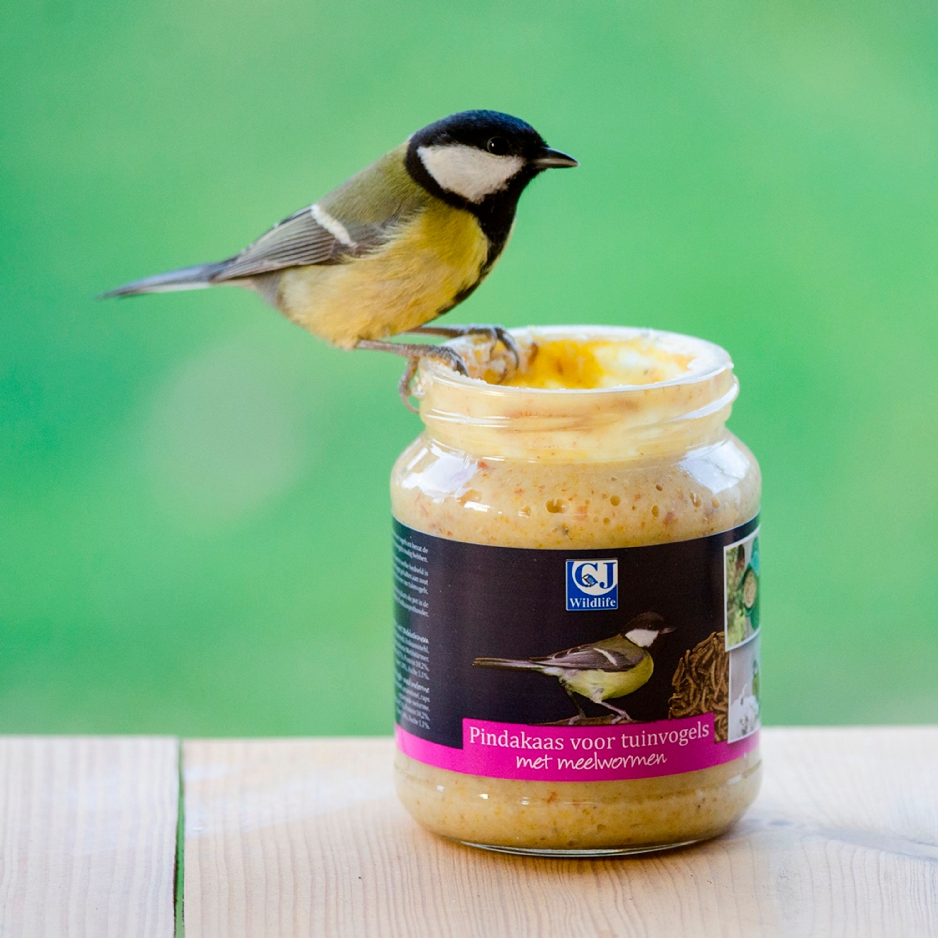 Premium Gartenvögel-Erdnussbutter – mit Mehlwürmern | Vogelfutter | CJ Wildlife