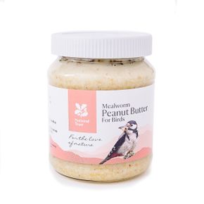 National Trust Original Peanut Butter for Birds