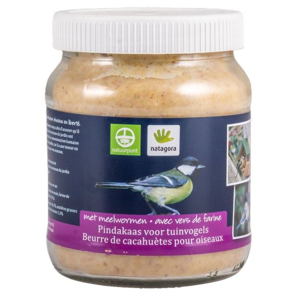 Beurre de cacahuètes vers de farine | Natagora