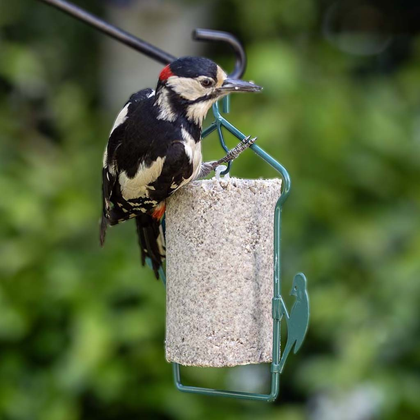 Protein Boost Suet Cake + Feeder Bundle