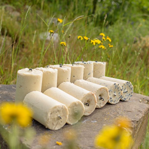 Coffret recharge cakes 12x500ml