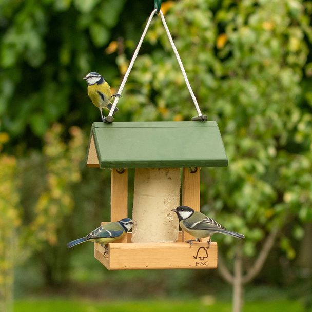 Alpine Bird Feeder & Suet Cake Starter Bundle