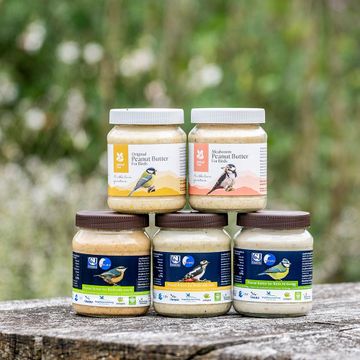 Ultimate Peanut Butter for Birds - Bundle of 5