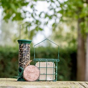 Starter-Set mit 3 Sorten Futter