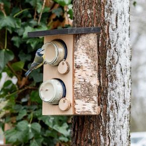 Quebec Pindakaaspothouder & Voedsel Starterspakket​