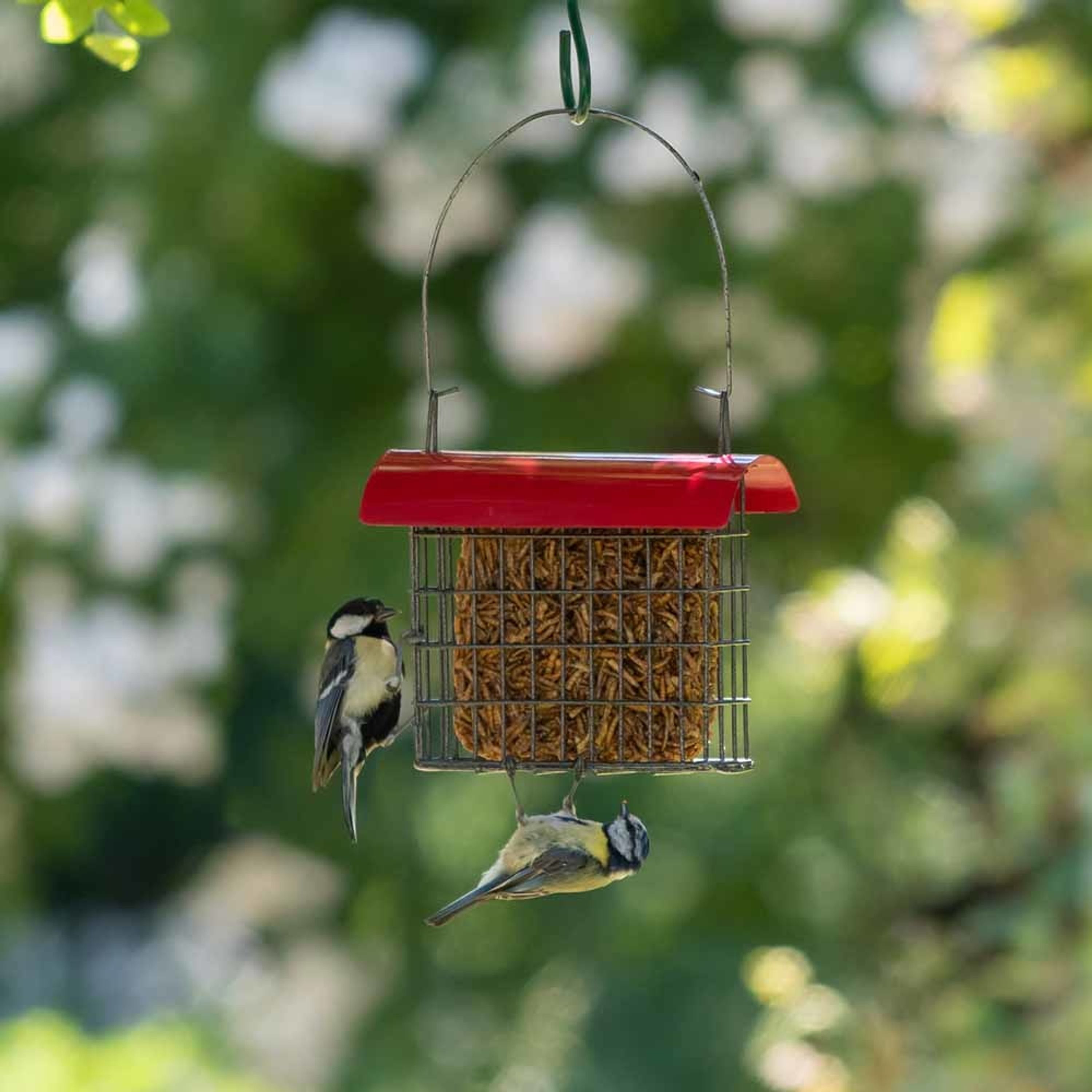 Energieblock aus getrockneten Mehlwürmern 90 g | Vogelfutter | CJ Wildlife
