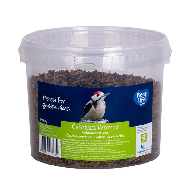 Larves de mouche 600gr